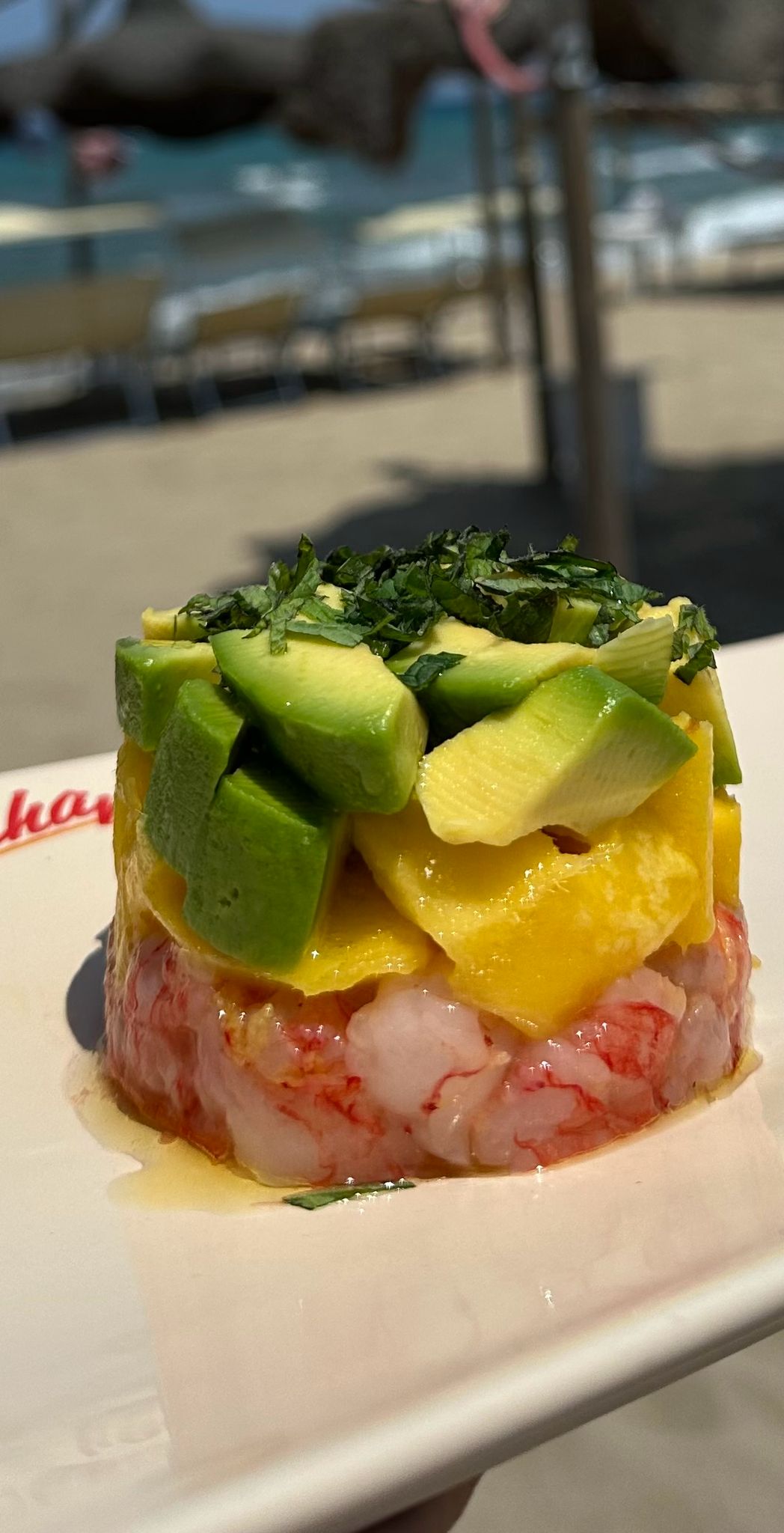 ristorante-mare-lido-pachamama-san-cataldo-lecce